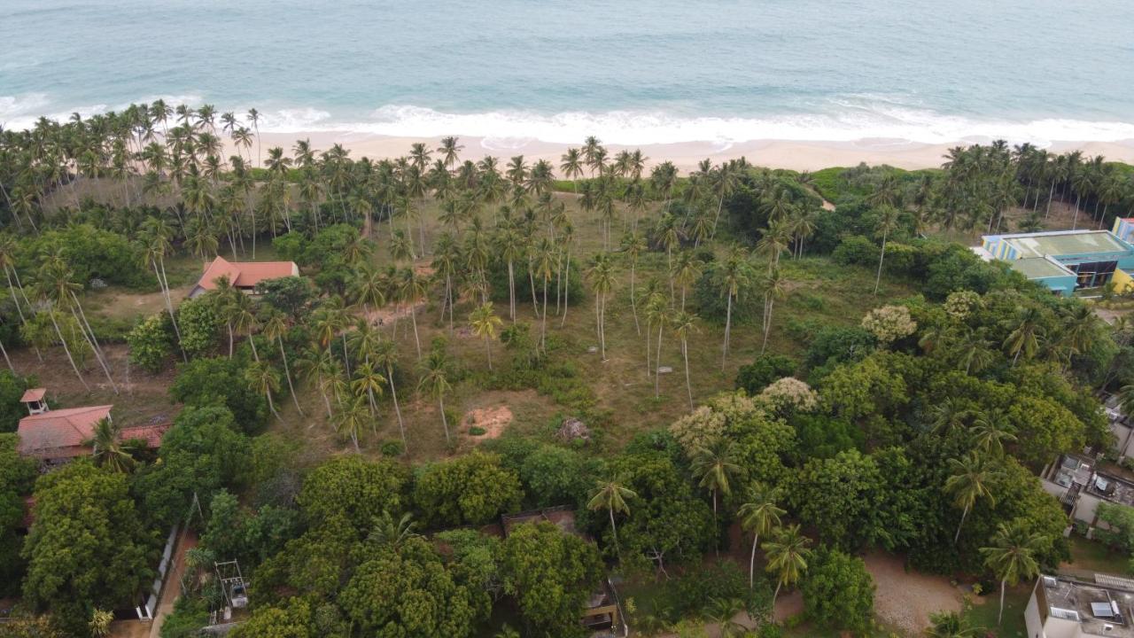Turtle Wood Cabin Tangalle Exterior foto