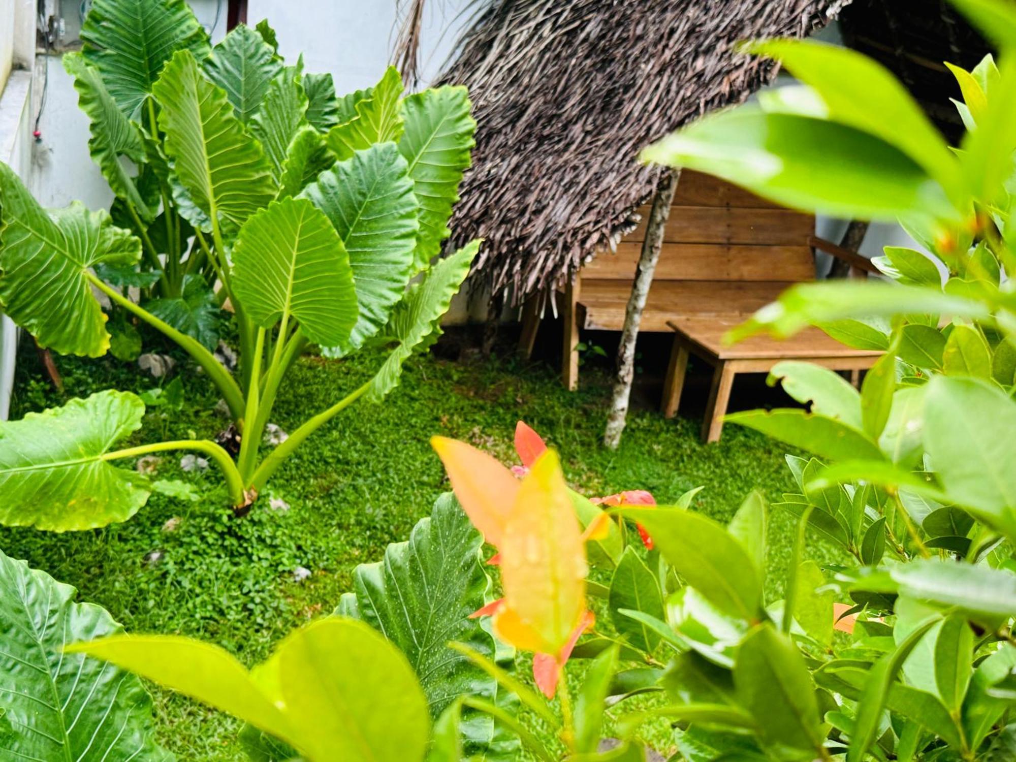 Turtle Wood Cabin Tangalle Exterior foto