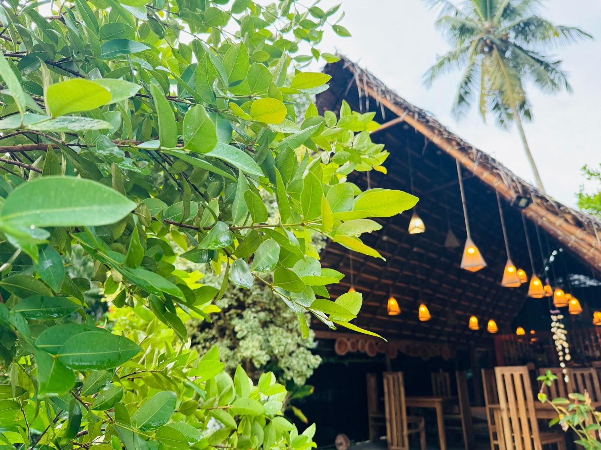 Turtle Wood Cabin Tangalle Exterior foto